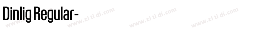 Dinlig Regular字体转换 Dinlig Regular字体转换